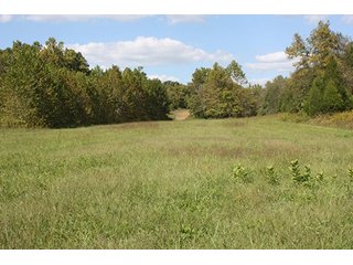 Property photo 4 - LAND AUCTION - 261+/- ACRES IN BRECKINRIDGE COUNTY